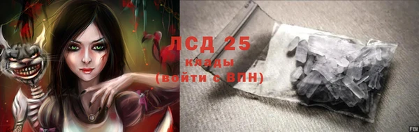 винт Верея