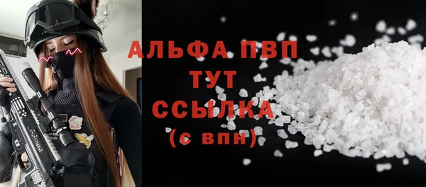 винт Верея
