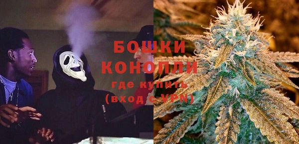 винт Верея