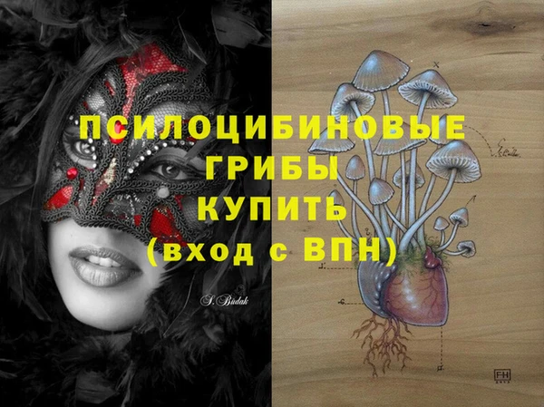 винт Верея