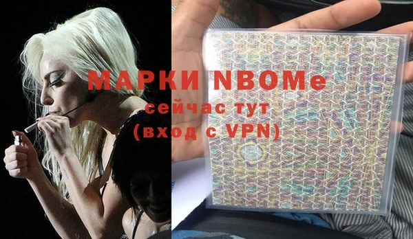 винт Верея