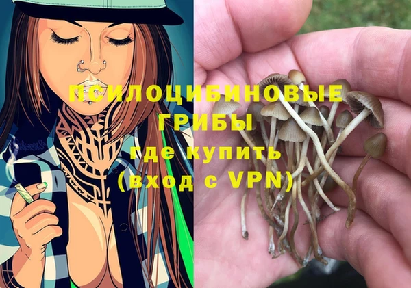 винт Верея